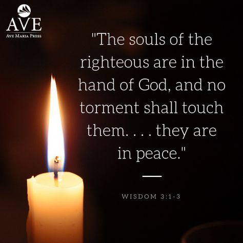 The Commemoration of All the Faithful Departed (All Souls' Day)  From today's first reading:   "The souls of the righteous are in the hand of God, and no torment shall touch them. . . . they are in peace."   Wisdom 3:1-3 All Souls Day Quotes Catholic, All Souls Day Quotes, Souls Day Quote, All Souls Day Quote, Quotes From Bible, Souls Day, Sympathy Messages, The Hand Of God, Bible Verses About Strength