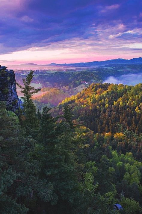 Forest Sky View, Well Art, Landscape Inspiration, Night Wallpaper, Panoramic Photography, Spring Forest, Thanksgiving Card, Forest View, Night Forest