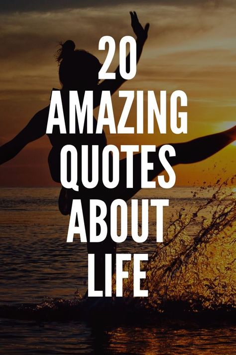 Amazing Life Quotes, Lou Holtz Quotes, Epic One Liners, Quotes Amazing, Inspirational Poetry, Provoking Quotes, One Liners, Bear Quote, Science Fiction Tv