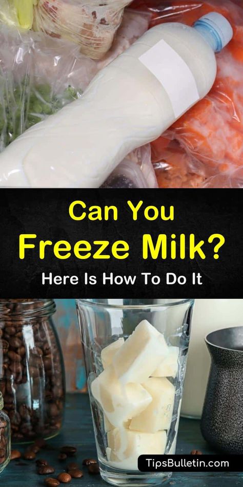 Freeze Milk, Freezing Milk, Food Freezing, Freezing Food Guide, Freeze Eggs, Homestyle Meals, Freeze Food, Freezing Vegetables, Smaller Portions