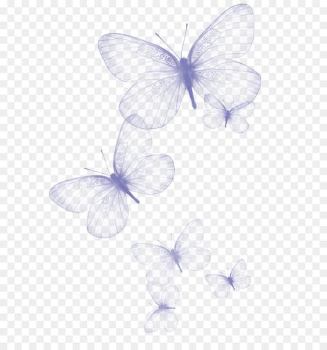 Transparent Butterfly Png, Greta Oto, Clothing Graphics, Transparent Butterfly, About Butterfly, Perfect Images, Butterfly Png, Blurred Background Photography, Butterfly Background