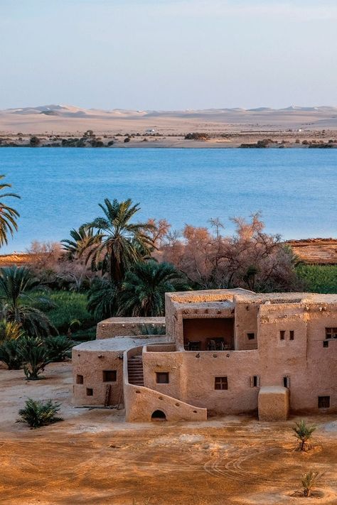 A traditional house in front of the Oasis at Siwa, made from clay Siwa Oasis, Mud House, Creative Advertising Design, The Red Sea, Egypt Travel, Explore Travel, Historical Place, Red Sea, Creative Advertising