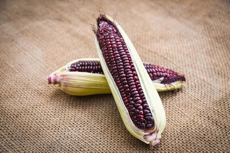 Purple Corn, Purple Mountains, Food Summer, F1 Driver, Photo Food, Corn On Cob, Leaf Green, Premium Photo, Corn