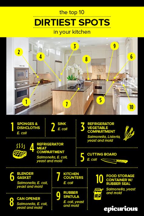 dirty spots in the kitchen Kitchen Safety Tips, Food Safety Posters, Food Safety And Sanitation, Food Safety Training, Food Safety Tips, Culinary Classes, Kitchen Safety, Housekeeping Tips, Family And Consumer Science