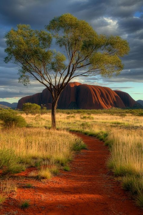 Embark on Green Adventures in the Australian Outback 🏜️✨ Discover the rugged beauty of the Australian Outback with eco-friendly travel options. Stay in sustainable accommodations, support indigenous tourism, and explore national parks. 🌿🇦🇺 #GreenTravelAustralia #EcoTourism #SustainableAdventure #Australia Australian Outback, Outback Australia, Green Travel, Sustainable Tourism, Eco Friendly Travel, Group Tours, Culture Travel, Adventure Travel, Sustainability