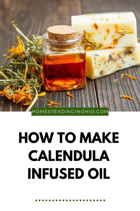 Calendula Oil Benefits, Infused Oil Recipes, Calendula Infused Oil, Diy Natural Beauty Recipes, Diy Herbal Remedies, Natural Skincare Recipes, Herbal Skin Care, Infused Oil, Natural Beauty Recipes