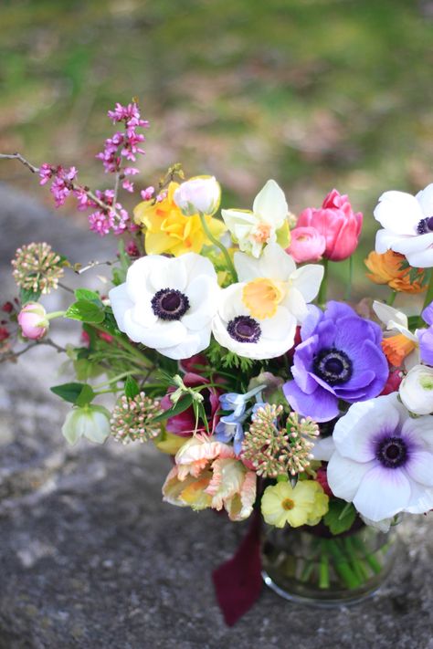 White and purple anemone, tulips, ranunculus, redbud, daffodils, hellebore Anemone Bridal Bouquet, Market Bouquets, Purple Anemone, Ranunculus Bouquet, Anemone Bouquet, Purple Bridal Bouquet, Luxury Flower Bouquets, White Anemone, Cat Wedding