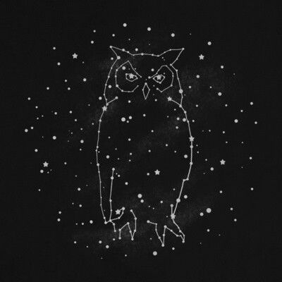 TERRY FAN Owl Constellation, Stars Druid, Constellation Poster, Map Quilt, Ravenclaw Aesthetic, Constellation Art, Moon Dance, Owl Collection, Constellation Print