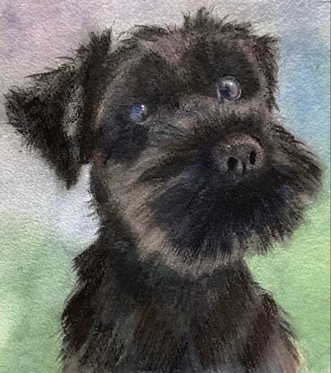 Schnauzer Art Prints, Schnauzer Drawing, Small Black Dog, Dog Pants, Schnauzer Art, Mini Schnauzer Puppies, Kerry Blue Terrier, Abstract Portrait Painting, Schnauzer Puppy