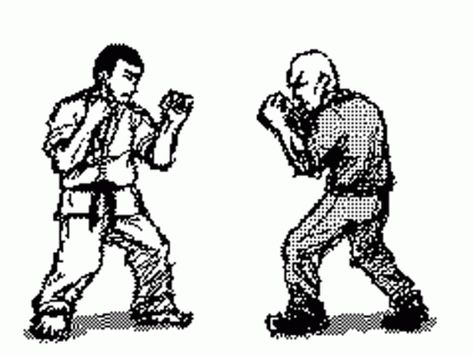 Marshal Arts, Martial Arts Gif, Kyokushin Karate, Martial Arts Techniques, Martial Arts Workout, Martial Arts Training, Krav Maga, Mixed Martial Arts, Cool Animations