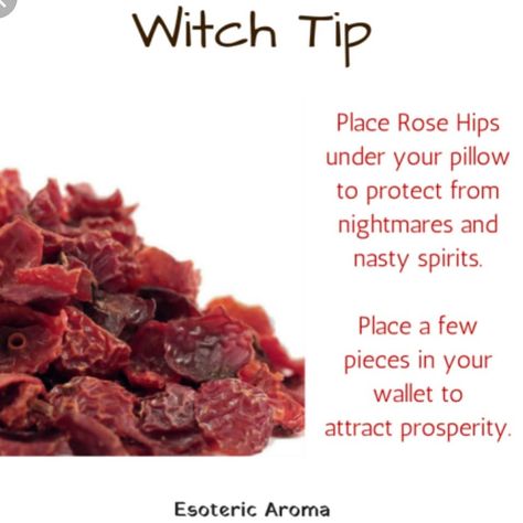 Grey Witchcraft on Instagram: “I also use rose hips in teas, any spell regarding love, protection regarding matters of the heart, and I'll add to my altar when I'm…” Witch Tips, Matters Of The Heart, Dog Rose, Health And Wealth, Rose Plant, Magic Herbs, Kitchen Witchery, Rose Hips, Herbal Healing