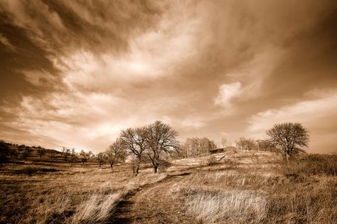 Landscape in sepia Sepia Landscape, Landscaping Software, Pen And Wash, Landscaping With Rocks, Draw On Photos, Beautiful Photo, Photo Inspiration, Landscape Photography, Country Roads