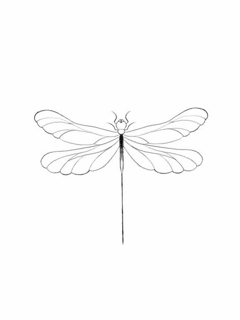 Fineline Dragonfly Tattoo, Dragonfly Drawing Tattoo, Minimalist Dragonfly Tattoo, Dainty Dragonfly Tattoo, Unique Minimalist Tattoo, Small Dragonfly Tattoo, Dragonfly Drawing, Skull Rose Tattoos, Small Dragon Tattoos