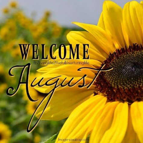 Welcome August Welcome August Images, Welcome To August, August 1, Happy August, Welcome August Quotes, August Images, August Holidays, Welcome August, August Wallpaper