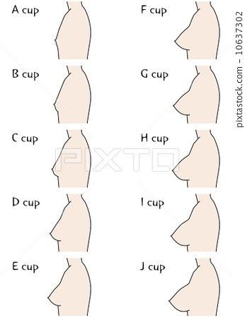 Body Type Drawing, Female Anatomy Reference, Fashion Design Drawing, Anatomy Tutorial, Body Reference Drawing, 인물 드로잉, Body Anatomy, Female Anatomy, 문신 디자인