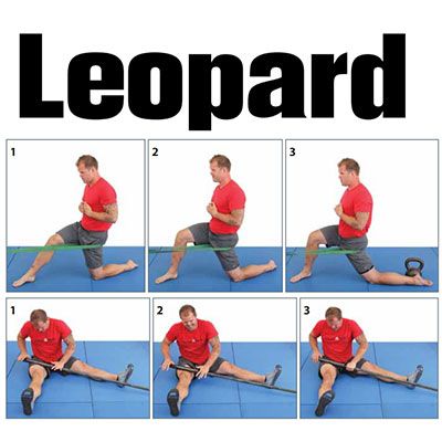 Kelly Starrett “Becoming a Supple Leopard” 50 Page Sample PDF Download Kelly Starrett, Couch Stretch, Leg Mobility, Crossfit Home Gym, Crossfit Mobility, Fascia Stretching, Mobility Workout, Stretching Flexibility, Dynamic Stretching