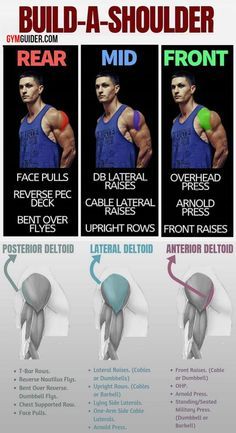 Gym Workout Chart, Biceps And Triceps, Weight Training Workouts, Shoulder Muscles, Best Exercises, Workout Chart, Gym Workout Tips, Shoulder Workout, Muscle Fitness