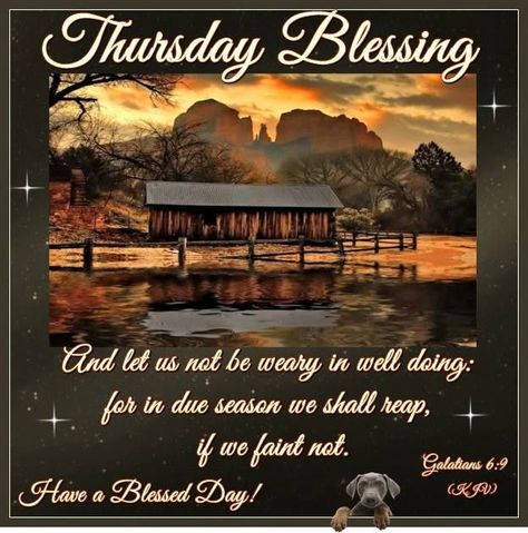 Thursday Blessings thursday thursday quotes thursday blessings thursday blessing… Happy Thursday Pictures, God Good Morning, Thursday Pictures, Thursday Inspiration, Thursday Greetings, Good Thursday, Happy Thursday Quotes, Happy Thursday Everyone, Good Morning Thursday