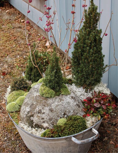 Mini Garden Decor, Winter Patio, Winter Front Porch Decor, Winter Front Porch Ideas, Winter Containers, Winter Container Gardening, Backyard Garden Ideas, Outdoor Christmas Planters, Winter Planter