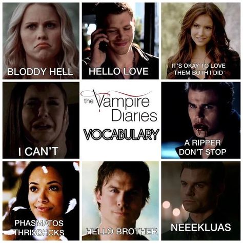 Which one is your favourite dialogue . . . Follow @tvd.holix for more tvdu content . . . . . . . . #thevampirediaries #tvd #delenaforever #delena #stelena#foryoupage#forpage#explore#trendingreels Vampire Diary, Vamp Diaries, Vampire Diaries Memes, Fandom Quotes, Vampire Shows, The Vampire Diaries Characters, Vampire Diaries Poster, Vampier Diaries, The Vampire Diaries 3