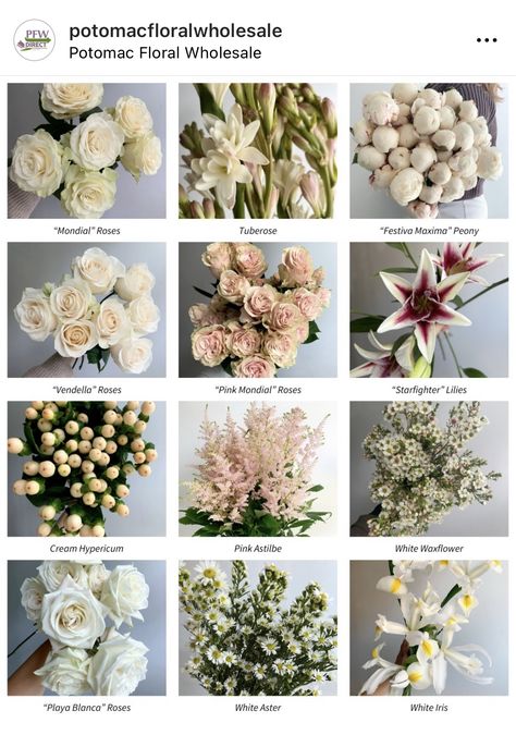 Flowers For Bouquet Types Of, Flower Arrangement Types, Names Of Flowers With Pictures, Types Of Bouquets Shapes, Types Of Flowers For Bouquet, Bouquet Business, Wedding Flower Types, Flower Dictionary, Different Kinds Of Flowers