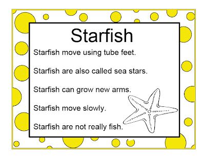 Brilliant Bundles: Preschool Starfish Activities for an Ocean Theme Starfish Activities, Starfish Facts, Beach Theme Preschool, Ocean Preschool, Ocean Lesson Plans, Preschool Ocean, Ocean Theme Preschool, Ocean Classroom, Sea Activities