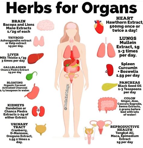 Herbal Education, Food Health Benefits, Food And Nutrition, Holistic Care, Sweet Revenge, Home Health Remedies, Herbs For Health, Natural Health Tips, Health Habits