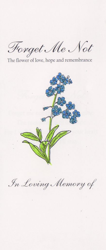 Forget Me Nots Flowers, Forget Me Not Seeds, Rock Flowers, Mums Flowers, Flower Guide, Flower Meanings, Victorian Flowers, Flower Names, Language Of Flowers