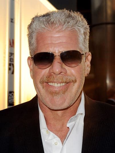 Ron Perlman Hairstyle – Cool Men's Hair Ron Perlman, Silver Foxes, Many Men, Hair Strand, Silver Fox, Hair Photo, Natural Curls, Hair Designs, Naturally Curly