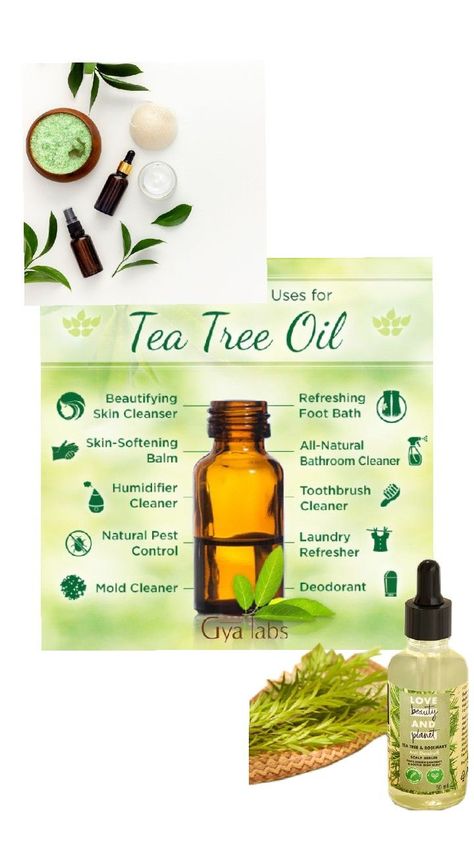 tea tree oil is best for hair and skin. Tea Tree Hair Oil, How To Clean Humidifier, Clean Deodorant, Cleaning Mold, Foot Bath, Bathroom Cleaner, Skin Cleanser Products, Tree Oil, Tea Tree Oil