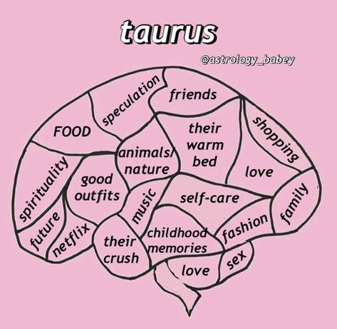 Taurus Journal, Taurus Daily Horoscope, Taurus Zodiac Quotes, Taurus Art, Taurus Zodiac Facts, Taurus Quotes, Astrology Taurus, Taurus Woman, Astrology Virgo