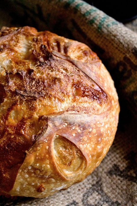 Sharp Cheddar Sourdough Homemade Sourdough Bread Recipes, Sourdough Boule, Buckwheat Bread, Recipe Using Sourdough Starter, Sourdough Starter Discard Recipe, Easy Sourdough, Homemade Sourdough Bread, Homemade Bread Easy, Sourdough Starter Recipe