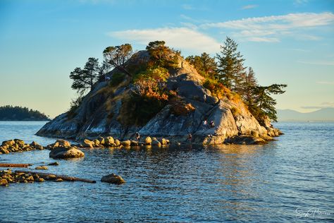 Whytecliff Park - West Vancouver Cliff City, Whytecliff Park, Park Sunset, Marine Drive, Bowen Island, Horseshoe Bay, West Vancouver, Animal Species, Marine Animals