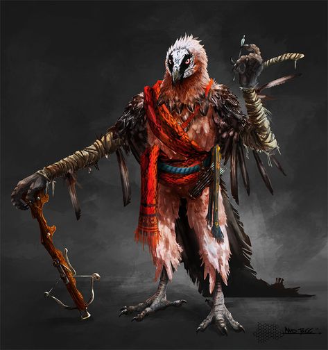 Crippled 5e DnD Aarakocra - Fraccc, Mad Bee on ArtStation at https://www.artstation.com/artwork/qYnNL Bearded Vulture, Bird People, Beast Creature, Fantasy Races, Dnd Art, Fantasy Inspiration, Anime Angel, Dnd Characters, Creature Design