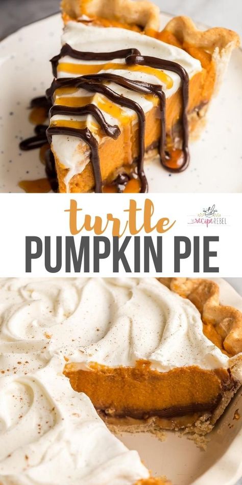 Turtle Pumpkin Pie, No Bake Thanksgiving, Turtle Pumpkin, Incredible Desserts, Desserts Pie, Pumpkin Cobbler, Brownie Desserts Recipes, Fall Deserts, Fall Favorites Recipes