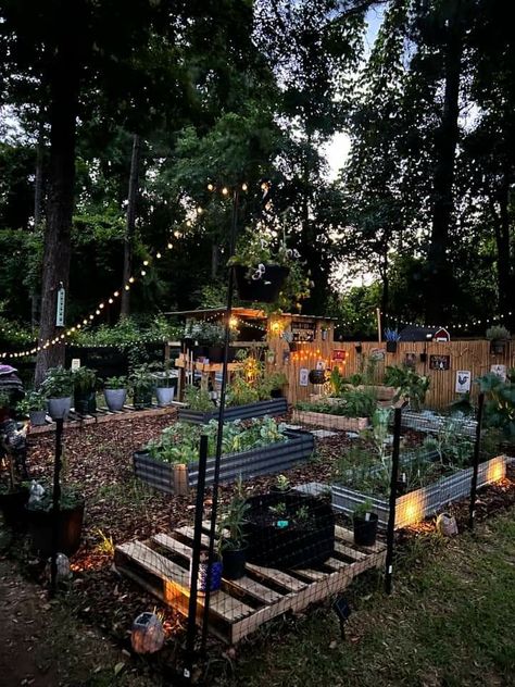 Gardening Layout Ideas, Gardening Layout, Dream Backyard Garden, Garden Layout Ideas, Garden Home Decor, Potager Garden, Backyard Vegetable Gardens, Veg Garden, Home Vegetable Garden