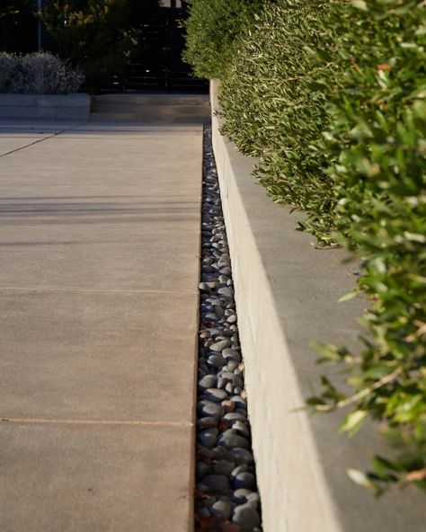 A long strip of polished stones borders the edge of the pool deck, accounting for drainage. To the right, a hedge of dwarf olive “speaks to the olive trees beyond” in the grove, said Cochran. Drainage Around Pool, Pool Drainage Ideas, Pebble Drainage, Landscape Flooring, Patio Drainage, Area Piscina, Rock Drainage, Garden Drainage, Backyard Landscaping Pool