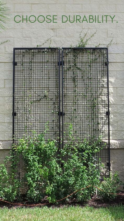 Mesh Trellis, Steel Projects, Creepers Plants, Trellis System, Garage Storage Inspiration, Metal Trellis, Lattice Trellis, Garden Walls, Metal Grill