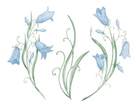 Blue Bell Drawing, Bellflower Drawing, Bluebell Drawing, Bluebell Illustration, Blue Bells Flowers, Blue Flowers Drawing, Bluebells Flower, Cute Pastel Colors, Bluebell Flowers