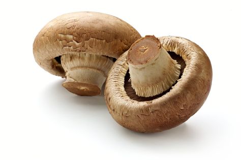 Health Benefits Of Mushrooms, Mushroom Benefits, Crimini Mushrooms, Coconut Benefits, Medical Medium, Portobello Mushroom, Shiitake Mushroom, Healing Food, Portobello