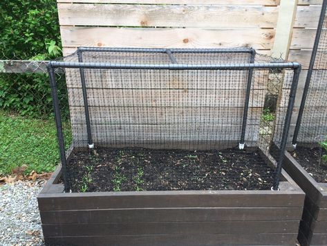 DIY | Vegetable Garden Cage — My Simply Simple Vegetable Cages Diy, Garden Cages Vegetable, Raised Garden Bed Cages, Diy Garden Enclosure Ideas, Garden Bed Cage, Diy Plant Cage, Garden Cage Ideas, Plant Cages Diy, Garden Cages