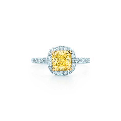 This riveting cushion-cut Tiffany & Co. Yellow Diamond ring smolders captures the essence of beauty and light. More fine jewelry here: http://balharbourshops.com/must-haves/fine-jewelry Tiffany Yellow Diamond, Tiffany Soleste, Tiffany Wedding Rings, خواتم خطوبة, Tiffany Engagement Ring, Yellow Diamonds Engagement, Yellow Diamond Ring, Cushion Engagement Ring, Yellow Diamond Rings