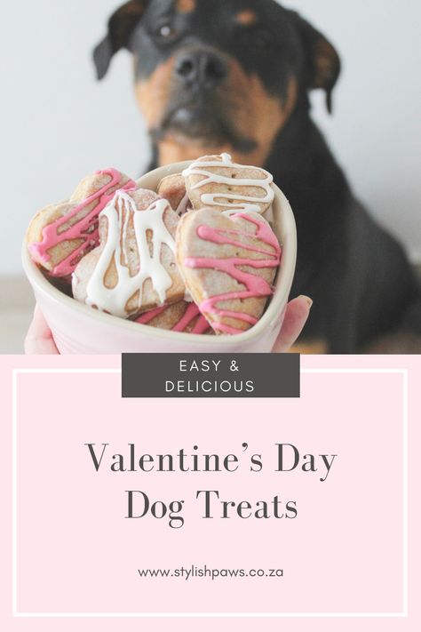 Valentines Dog Treats Recipe, Valentine Dog Treats Homemade, Dog Valentines Treats, Valentine’s Day Dog Treats, Valentines Dog Treats, Valentines Day Dog Treats, Dog Desserts, King Corso Dog, King Corso