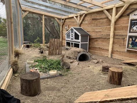 Animal Cages Outdoor, Outdoor Rabbit Run Play Areas, Outdoor Bunny Enclosure Ideas, Rabbit Incloser, Large Outdoor Rabbit Enclosure, Outside Rabbit Enclosure Ideas, Rabbit Playground Outdoor, Rabbit Outdoor Enclosure, Bunny Outdoor Enclosure