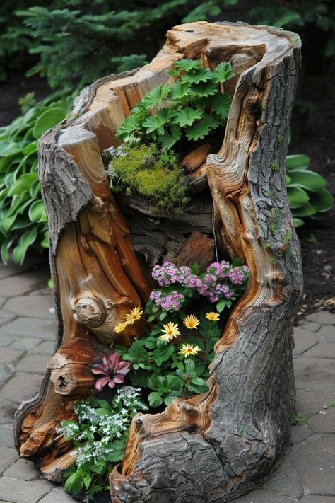 Tree Trunk Ideas, Wood Log Ideas, Stump Ideas, Trunk Ideas, Tree Stump Planter, Log Ideas, Bonsai Nursery, Fall Landscaping, Pendant Ideas