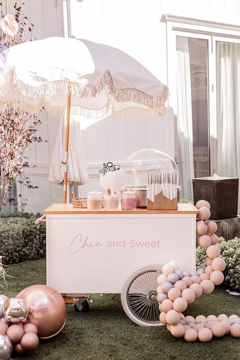 Pink Mobile Bar, Pink Marble Cake, Cotton Candy Cart, Party Rental Ideas, Acrylic Bunny, Balloon Necklace, Sweet Carts, Ice Cream Cart, Candy Cart