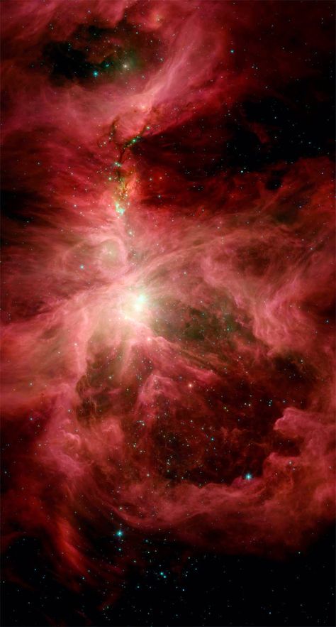 Stellar Nursery, Nasa Telescope, Spitzer Space Telescope, Eagle Nebula, Telescope Images, Nasa Photos, Orion Nebula, Star Cluster, Black Holes