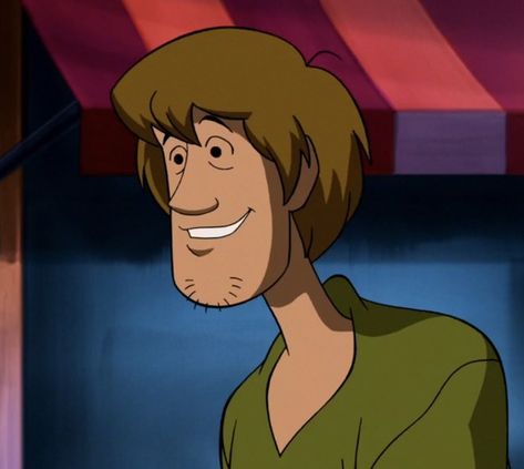 I got "Shaggy from _Scooby-Doo_"! Daphne Blake Costume, Shaggy Scooby Doo, Scooby Doo Mystery Inc, The Great Dane, Shaggy Rogers, Scooby Doo Images, Scooby Doo Mystery Incorporated, Shaggy And Scooby, Costume Guide