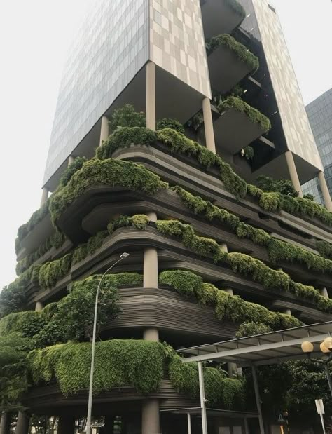 Overgrown Future City, Singapore Plant Building, Brutalist Architecture With Plants, Futuristic Biophilic Design, Solar Punk Wallpaper, Eco Brutalist Architecture, Ecobrutalism Aesthetic, Solar Punk Decor, Green Aesthetic Architecture