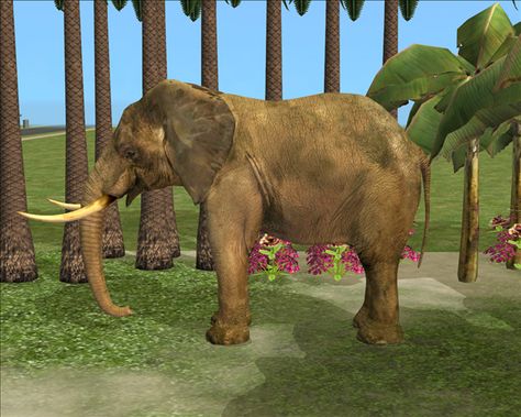 Elephant Log Saw, Phil Cho, Biggest Elephant, Vacation Resorts, You're Awesome, Put A Ring On It, Free Sites, Custom Content, Sims 2